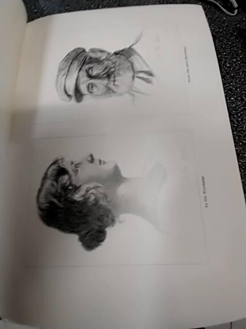 Achton Friis: De danskes Land